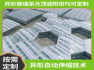 電動天棚簾